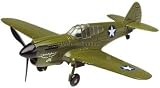 World War II P-40 War Hawk 1:48 scale diecast fighter plane model by Motormax