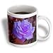 Yves Creations Roses and Valentines Day Florals - Delicate Blue Purple Rose - Mugs