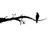 Crow - 24"W x 18"H - Peel and Stick Wall Decal by Wallmonkeys