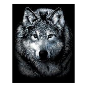 Reeves - Silver Scraperfoil Wolf