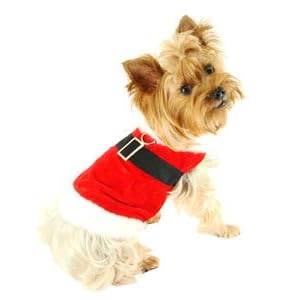 Doggy Father Christmas Fancy Dress Jacket