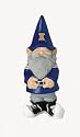 University of Illinois Fighting Illini Gnome c