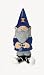 University of Illinois Fighting Illini Gnome c