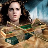The Wand of Hermione by The Noble Collection