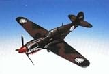 Daron Worldwide Trading A0532 P-40E Warhawk 1/32 AIRCRAFT