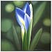 CraftNetwork - Bali Art - Lilly Flowers 1