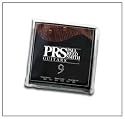 "PRS ""Paul Reed Smith"" E-Gitarre 009.5"