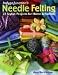 Indygo Junction's Needle Felting by Amy Barickman