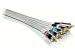 Electronics : Phillips 12' 24K Gold Stereo Audio Video Component Cabl