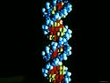 DNA Double Helix, Deoxyribonucleic Acid Photographic Poster Print, 16x12