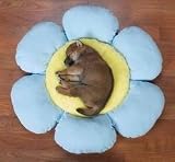 Flower Dog Beds LARGE - BLUE - Flower Dog Beds