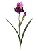 Faux 28 Bearded Iris Spray Violet Lilace (Pack of 12)