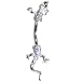 Jewelry : Solid 14KT White Gold Cubic Zirconia LIZARD Belly Ring