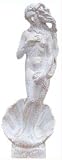 Eigenschaften   / Figur 