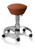 SWOPPER CLASSIC 3D-Aktiv-Bürostuhl Hocker Sitzpolster Normal, Farbe choco, Fussring mit Rollen nach DIN EN 12529, Feder MEDIUM, Basis Titan, Federfarbe wie Basis (SWOP20TR)