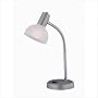 Gooseneck Desk Lamp in Stain Steel Finish
