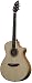 Breedlove Atlas Stage C250/EF Acoustic Electric Guitar