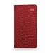 Slim Croc Planner - January 2010 - Russet