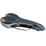 allay(アレイ) Racing Sport 2.1 Lサイズ ブラック SDL13704