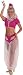 Adult I Dream Of Jeannie Costume