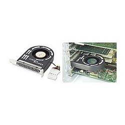 black friday price Alpha & Omega 