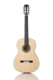 Cordoba Fusion Orchestra Guitar 12 SP/IN