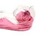 Hand Made Soft luster and beautiful 100% Pure Silk Shawl/ Wrap
