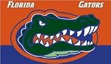 Florida Gators Car Flag (Set of 2)