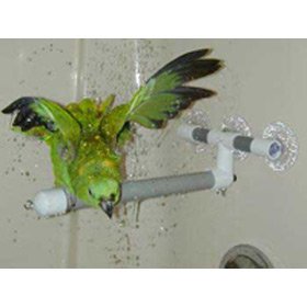Pollys Pet Products Window or Shower Bird Perch 