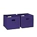 RiverRidge Folding Storage Bins with Handles Dark Purple Cube Storage Organizer for Closet, Bedroom & Playroom - Closet Organizers and Storage Set of 2