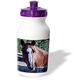 Horse - Quarter Horse Mare - Water Bottles