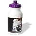 Steve Shachter Art - BARN OWLS - Water Bottles