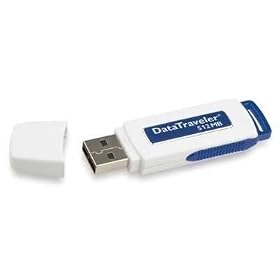 Kingston Data Traveler USB flash drive - 512 MB ( SDCZ2-512-A10-KT )