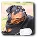 rottweiler20  - Dogs Rottweiler Rottweiler Mouse Pads