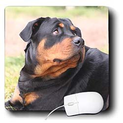 image link -  - B002O1P29M
