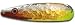 Warrior Lures Maid Marian standard or magnum fishing trolling spoon
