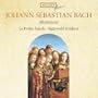 Bach: Motets