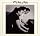 Kitty, Daisy & Lewis / キティー、デイジー& ルイス
