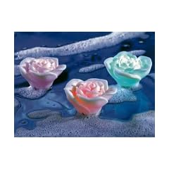 Lunartec LED-Wasserrosen mit Farbwechsler