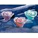 Lunartec LED-Wasserrosen mit Farbwechsler