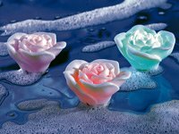 Lunartec LED-Wasserrosen mit Farbwechsler Angebote