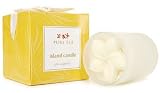 Review Pure Fiji  / Pure Fiji Island Candle - 3 oz. - Pineapple