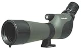 bird watching binoculars