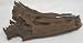 Blue Ribbon Natural Driftwood Small
