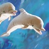 イルカ ハンドパペットの画像