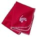 Radio Flyer Baby Fleece Blanket