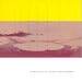 Arctic Circles : A Selection Of Sub Zero Soundscapes [RARE]
