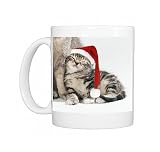 Cat - Mother a 35 day old Kitten wearing Christmas hat Photo Mugs