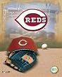 Cincinnati Reds Logo Color 8x10