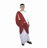 Deluxe ORIGINAL Panne Velvet Plus Size Caesar Costume